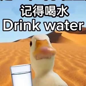 骑着苍蝇找蚊子头像