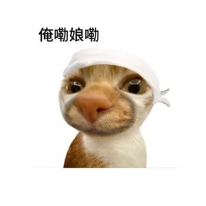 用户0803的抖音 - 抖音