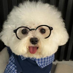 汉堡麻麻🍔头像