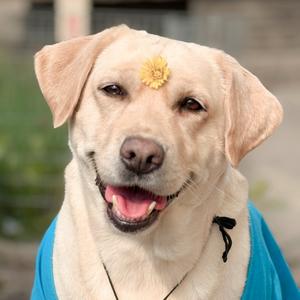 元宝儿的生活vlog头像