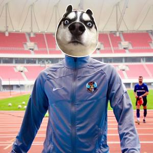 宇点足球⚽️头像