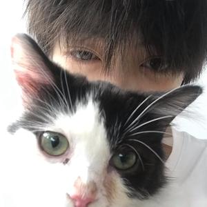 团队成员 该你的