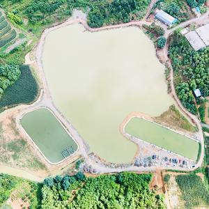 龙井湖垂钓（金三富）头像