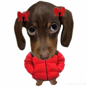 我要睡觉觉喽💤头像