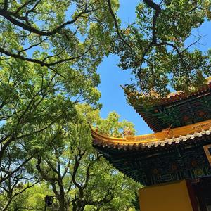 拾起自己的抖音 - 抖音