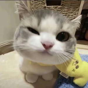 TikTok热门音乐头像