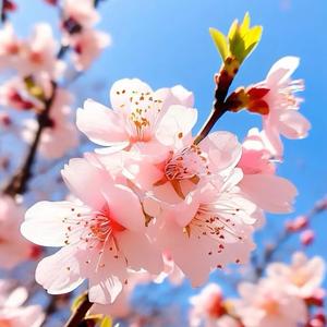 植觉绿植园头像