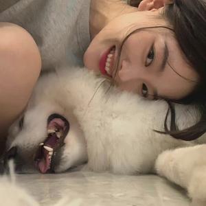 太阳出来了头像