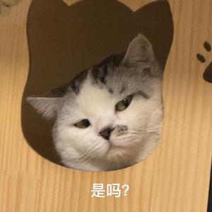 我爱吃炒酸奶头像