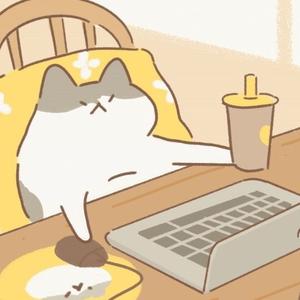 一只猫坨坨头像