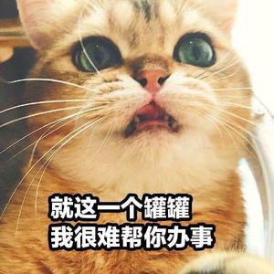 小马在剧场头像
