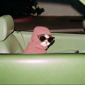 用户随时注销头像