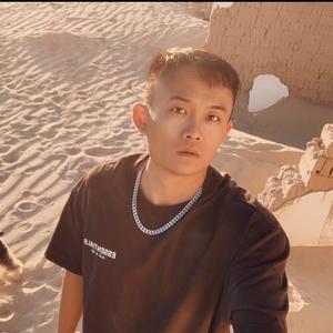 机器不是猫头像