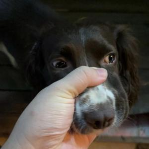 朱事顺利（瘦不了版）头像