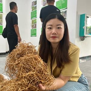 常青-新农人梅梅头像