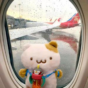 肚子今天又打雷了头像