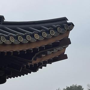 老王哥爱自己头像