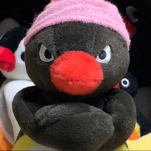 坨坨大王统治小韩头像