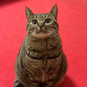 哇塞L•🌈头像