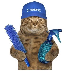 圣火喵喵教雷主任头像