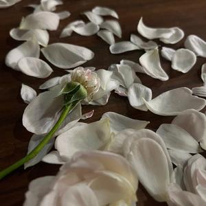 有梦的夏天头像