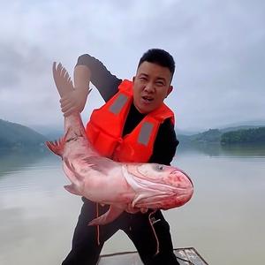 渔兄渔弟（大表哥）头像