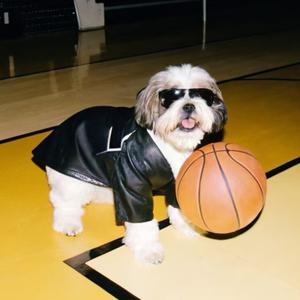 凌晨去上班头像