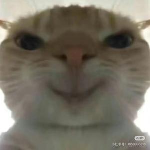 衫安猫电竞-九九（三角洲行动）头像