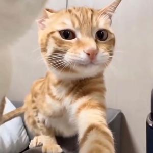 蜡笔🖍️小7头像