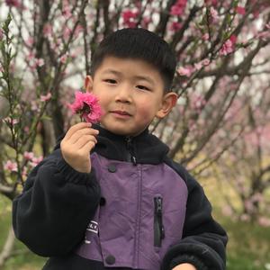 胥胥成长记头像