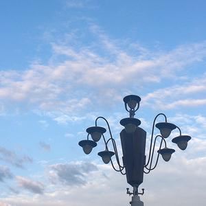 楼顶小菜园头像