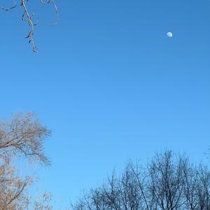 大自然的秘密头像