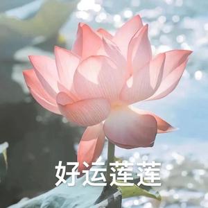 奋斗笨鸡蛋头像