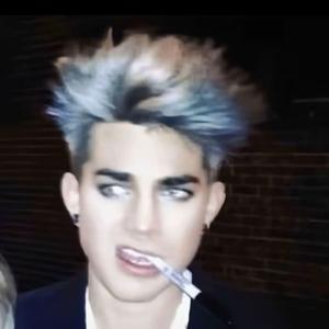 芥末味可乐鸡翅头像