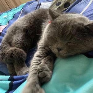 爱吃锅包肉😋头像