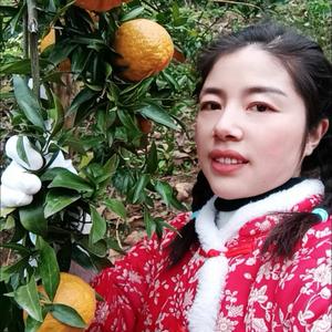 王幸运（桃花源徐掌柜烤面筋）头像