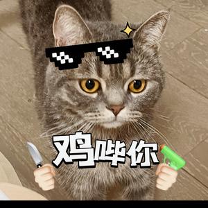 五月铲屎官～头像