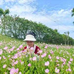 艺真很专注（快乐学习）头像