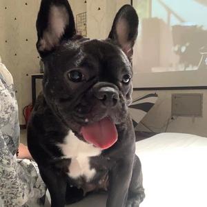 二妮宝宝🍼头像