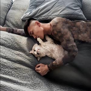 驸  马.⚜️头像