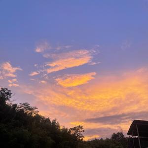 纵横小可爱头像