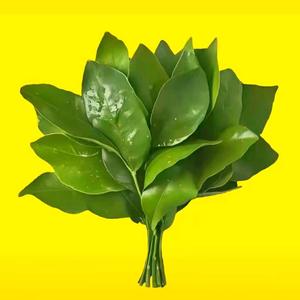 𝑸𝒊𝒏𝑯𝒖𝒂头像