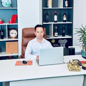 金融财经陈总头像