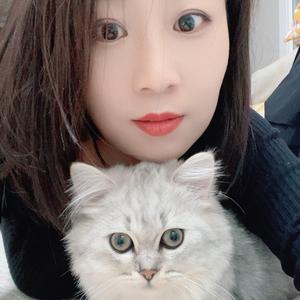 张家四小姐头像