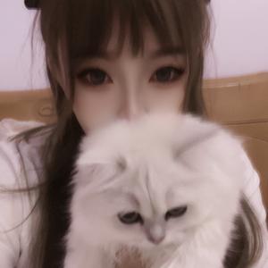 元宝是一只🐱吖头像