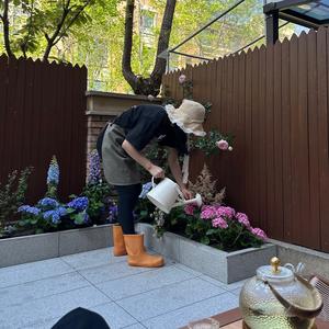 小西红柿🍅头像