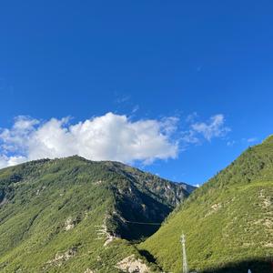 🥬白菜🥬头像