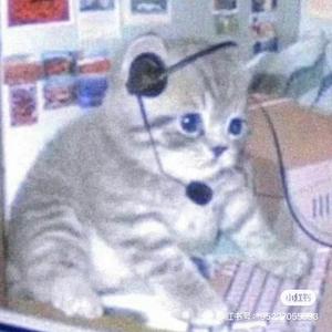 被蚊子叮了头像