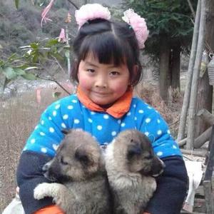 月光鸡油饭头像