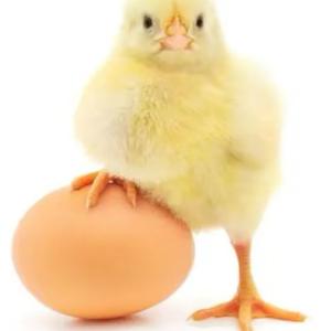 低价售卖我儿头像